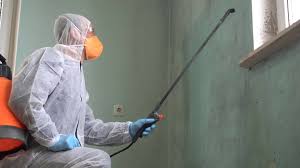 Trusted Kendall West, FL Mold Removal & Remediation Experts