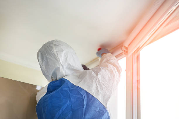 Best Black Mold Removal  in Kendall West, FL