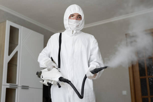 Best Mold Remediation for Healthcare Facilities  in Kendall West, FL