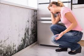 Best Forensic Mold Investigation  in Kendall West, FL