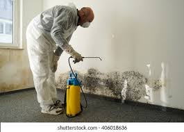 Best Mold Prevention Services  in Kendall West, FL